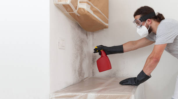 Attic Mold Remediation treatment on roof deck in Succasunna